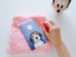 beanmom님이 올린 리뷰 사진 3
