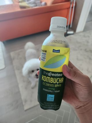더그레잇티 콤부차 [매일유업] 더그레잇티 44kcal 콤부차 300ml *12개입 (오리지널 6개+베리리치 6개) — 5점을 준 리뷰어가 2023년 7월 올린 사용 사진