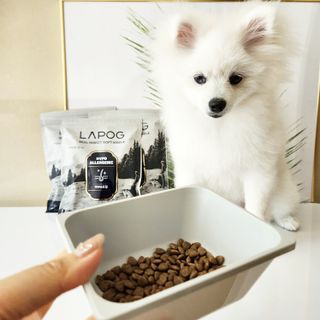 [푸디웜] 라포그 리얼인섹트 소프트키블 스킨 1KG — 5점을 준 리뷰어가 2022년 9월 올린 사용 사진