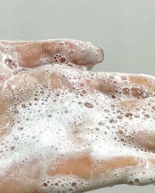 비앤포님이 올린 리뷰 사진 2