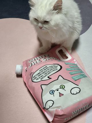 Woo7C님이 올린 리뷰 사진 1