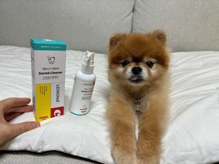 프리[경남제약 레모나x댕모어]  강아지 고양이 구취제거 충치 예방 덴탈클리너 120ml — 5점을 준 리뷰어가 2024년 7월 올린 사용 사진