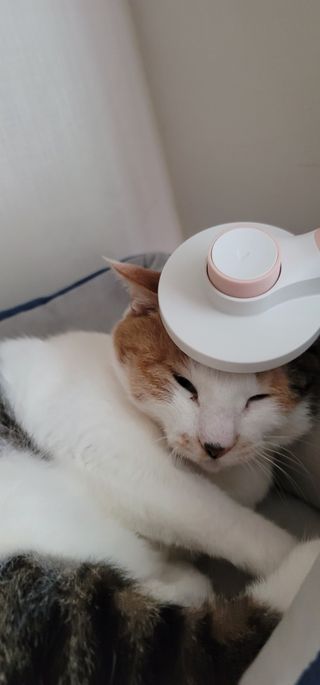 전소민님이 올린 리뷰 사진 2