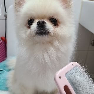 유화님이 올린 리뷰 사진 1