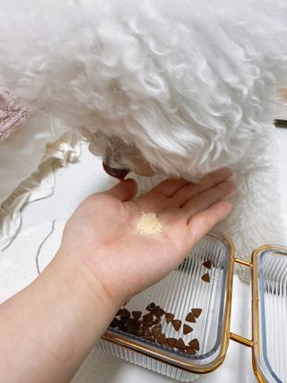 지혜님이 올린 리뷰 사진 1