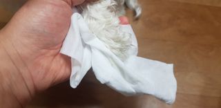 초아찡님이 올린 리뷰 사진 4
