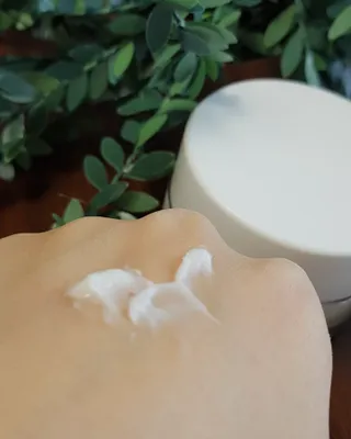 솔마미님이 올린 리뷰 사진 3