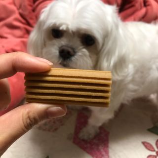 O_zl님이 올린 리뷰 사진 4