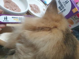 옹알이님이 올린 리뷰 사진 2