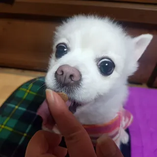 바나나님이 올린 리뷰 사진 3