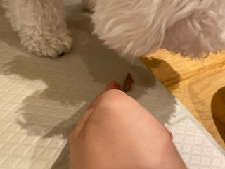 긍정미뇽님이 올린 리뷰 사진 4