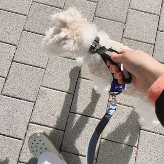 솜솜이2님이 올린 리뷰 사진 3