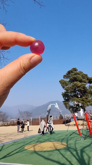 [푸름웰니스] 라바 멀티비타민 구미 36g — 5점을 준 리뷰어가 2022년 2월 올린 사용 사진