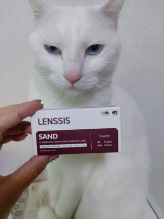 귤양님이 올린 리뷰 사진 1