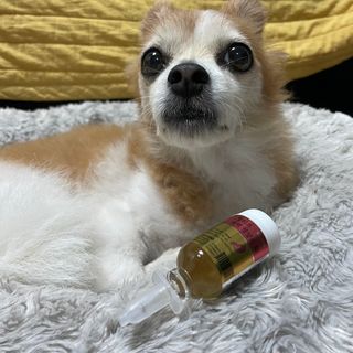 무지조타 반려동물용 꽃으로만든영양제 헬리코디펜스 15ml — 5점을 준 리뷰어가 2021년 8월 올린 사용 사진