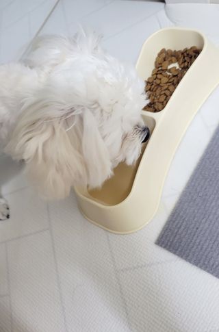 땅콩빠다님이 올린 리뷰 사진 3
