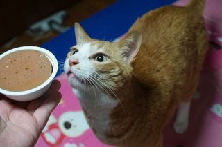 하린님이 올린 리뷰 사진 4
