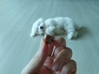 페페로니 진짜 오메가3 연어+소고기 180g+180g — 4점을 준 리뷰어가 2021년 7월 올린 사용 사진