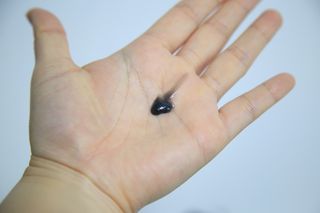 윰유밍님이 올린 리뷰 사진 3