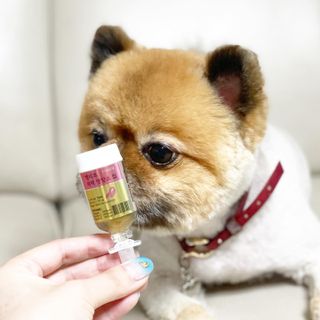 무지조타 반려동물용 꽃으로만든영양제 헬리코디펜스 15ml — 5점을 준 리뷰어가 2021년 8월 올린 사용 사진