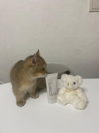 .님이 올린 리뷰 사진 1