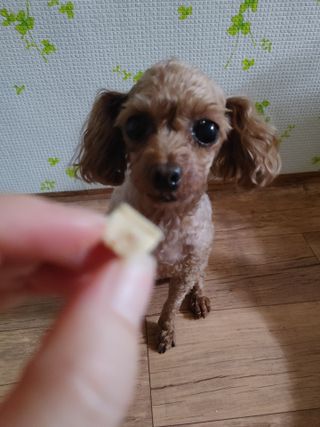 멍순이님이 올린 리뷰 사진 4