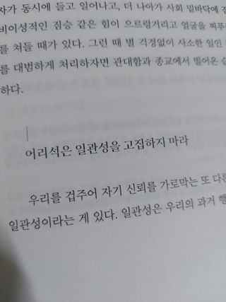 귤양님이 올린 리뷰 사진 4