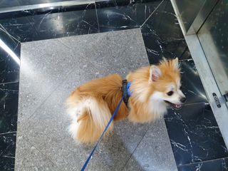 좋아님이 올린 리뷰 사진 2