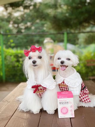 모소리네님이 올린 리뷰 사진 1
