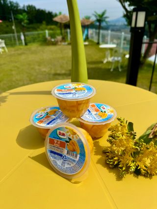 돌 [Dole]자연 그대로! Dole 후룻볼 113G*4입X 3박스(4가지 맛中 랜덤발송) — 5점을 준 리뷰어가 2024년 6월 올린 사용 사진