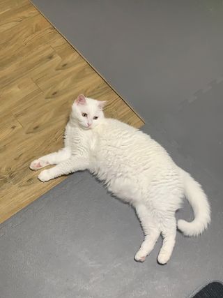 ㄹ진님이 올린 리뷰 사진 3