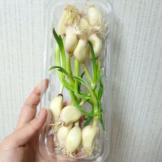eillie님이 올린 리뷰 사진 2