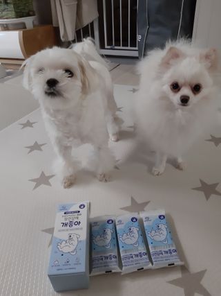 My Pet Care 장건강에 개좋아 — 4.5점을 준 리뷰어가 2021년 1월 올린 사용 사진