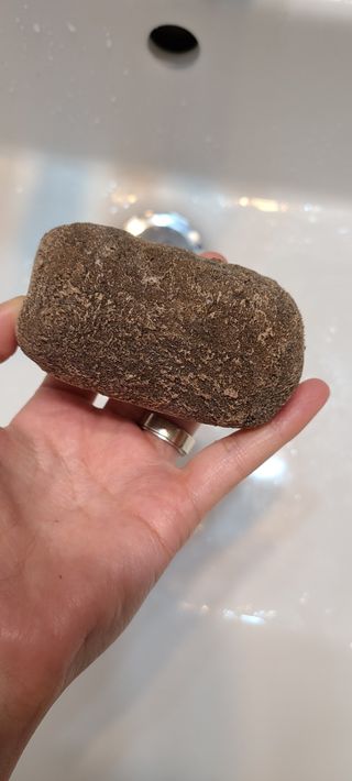 논지님이 올린 리뷰 사진 2