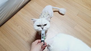 ㅎㅎ쩡님이 올린 리뷰 사진 1