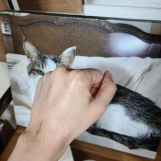 루잉루잉님이 올린 리뷰 사진 4
