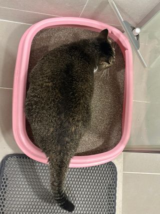 트레이드마크님이 올린 리뷰 사진 2