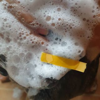 아띠님이 올린 리뷰 사진 3