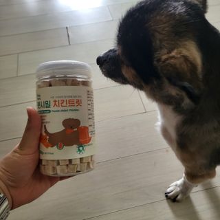 [펫시밀] 원물그대로 영양듬뿍 진공동결건조 북어트릿75g,치킨트릿100g,연어트릿75g 강아지 고양이 간식 — 5점을 준 리뷰어가 2023년 6월 올린 사용 사진
