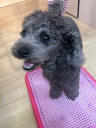 creed님이 올린 리뷰 사진 2