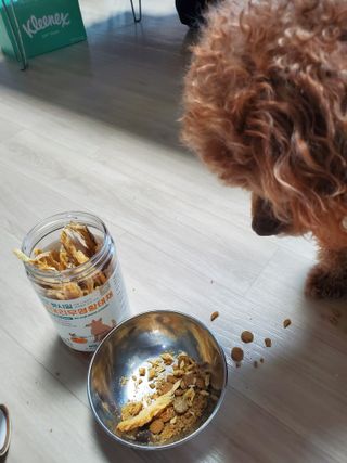 준맘님이 올린 리뷰 사진 3