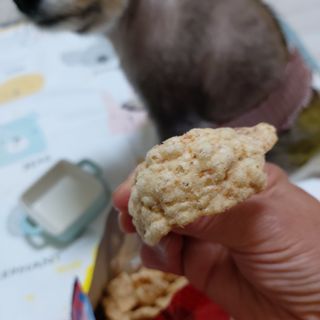 복도리님이 올린 리뷰 사진 4