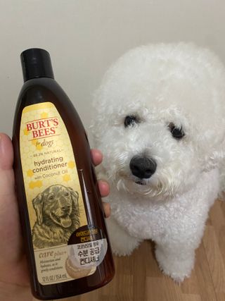 예봉봉봉님이 올린 리뷰 사진 1