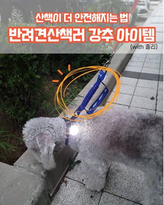 lemoniee님이 올린 리뷰 사진 1