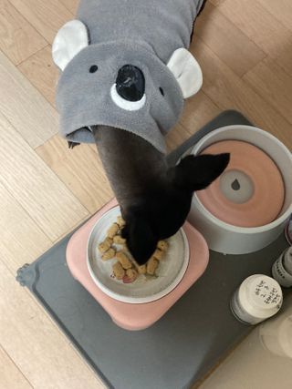 힙쪙님이 올린 리뷰 사진 3