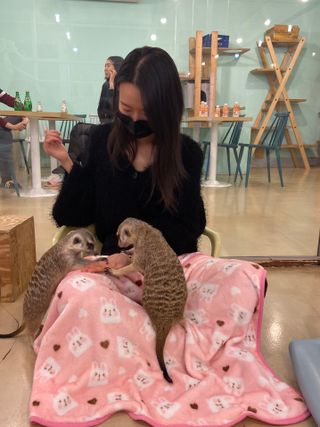 Shelly님이 올린 리뷰 사진 1
