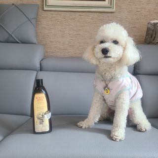 캐스퍼님이 올린 리뷰 사진 1
