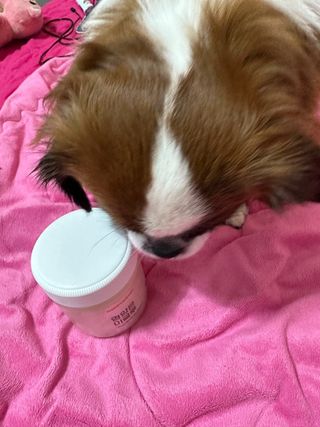 여진님이 올린 리뷰 사진 2