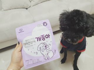 My Pet Care 천연단백질 치아건강에 개좋아 — 5점을 준 리뷰어가 2021년 2월 올린 사용 사진