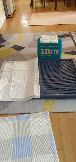 아베크 펫 와이드 프리미엄 대형 애견 강아지 배변 패드 30매 1팩 80g — 5점을 준 리뷰어가 2021년 7월 올린 사용 사진